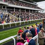 placing a bet on the grand national